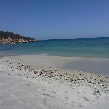 Michelangelo * Villasimius